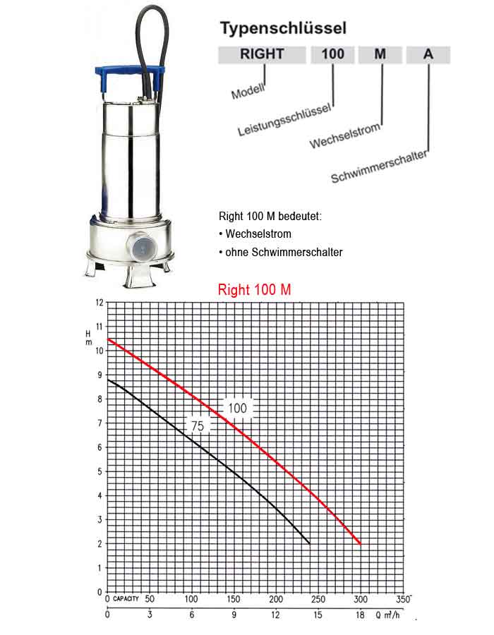Kennlinie der Tauchmotorpumpe Ebara Right 100 M
