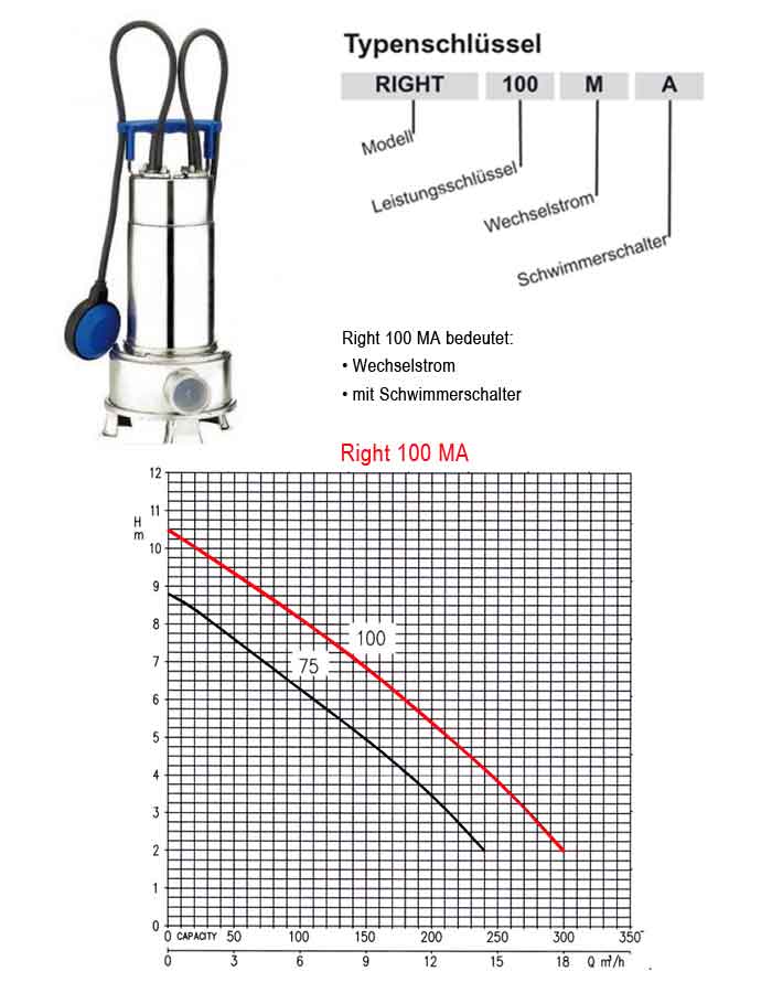 Kennlinie Tauchmotorpumpe Ebara Right 100 MA Edelstahl